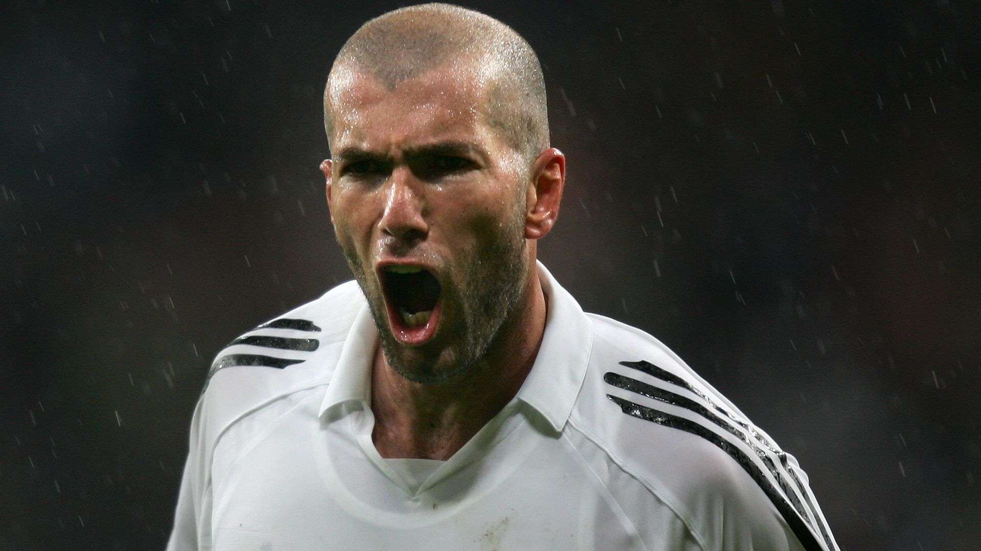 在发布之前 在发布之前