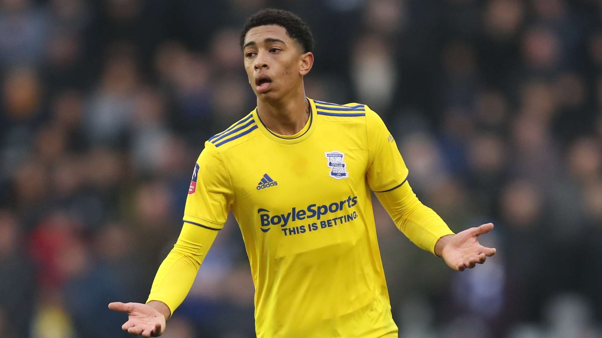 随着坎特 随着坎特